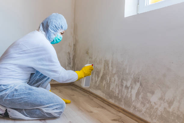 Bathroom Mold Removal assessment in Seattle bathroom